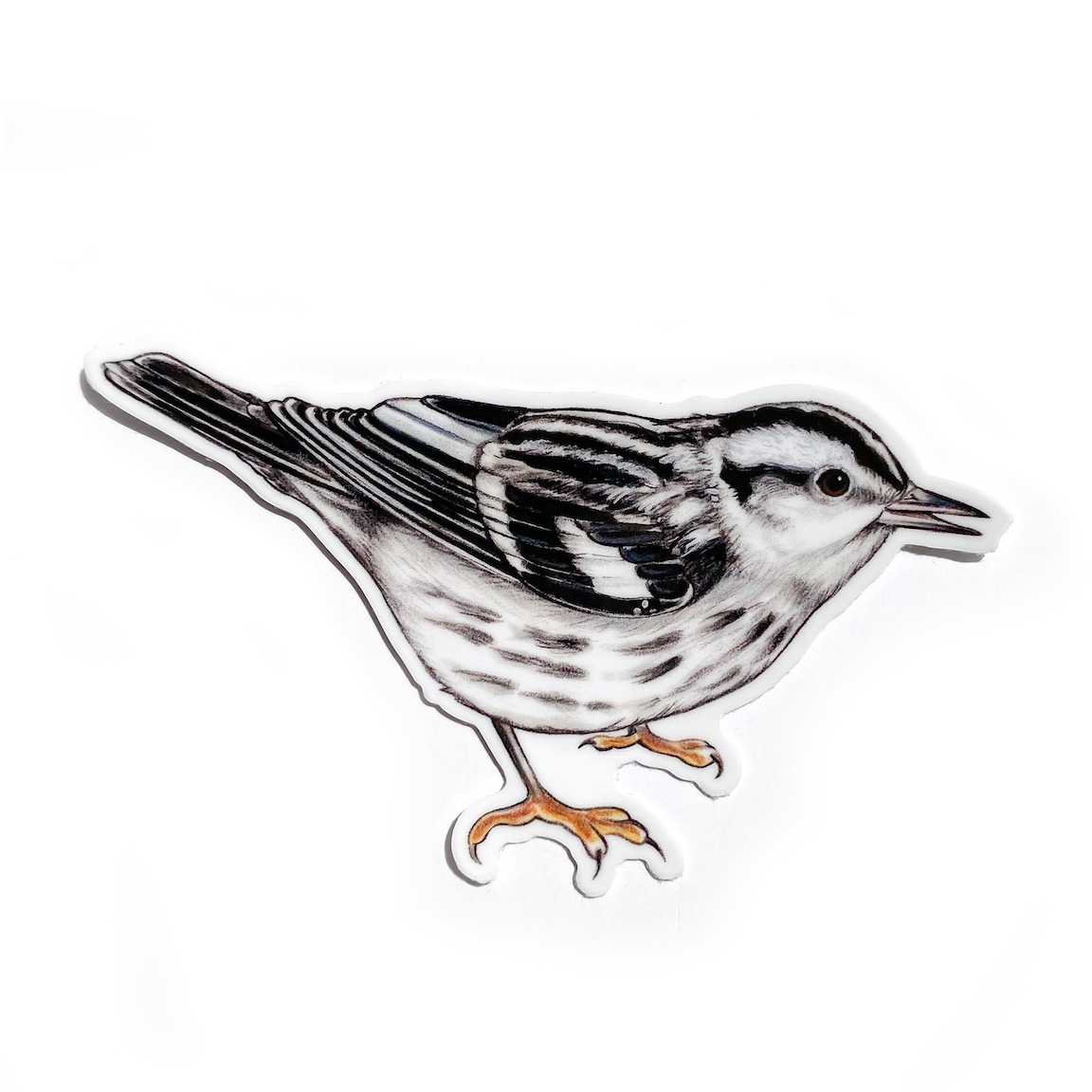 Black and White Warbler Bird Weatherproof Vinyl Sticker