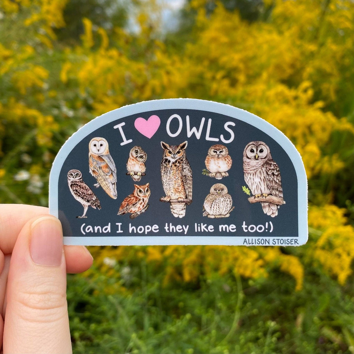 I ❤️ Owls Weatherproof Vinyl Sticker