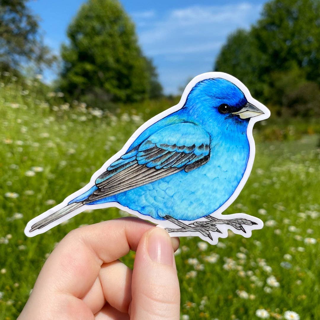 Indigo Bunting Weatherproof Vinyl Sticker