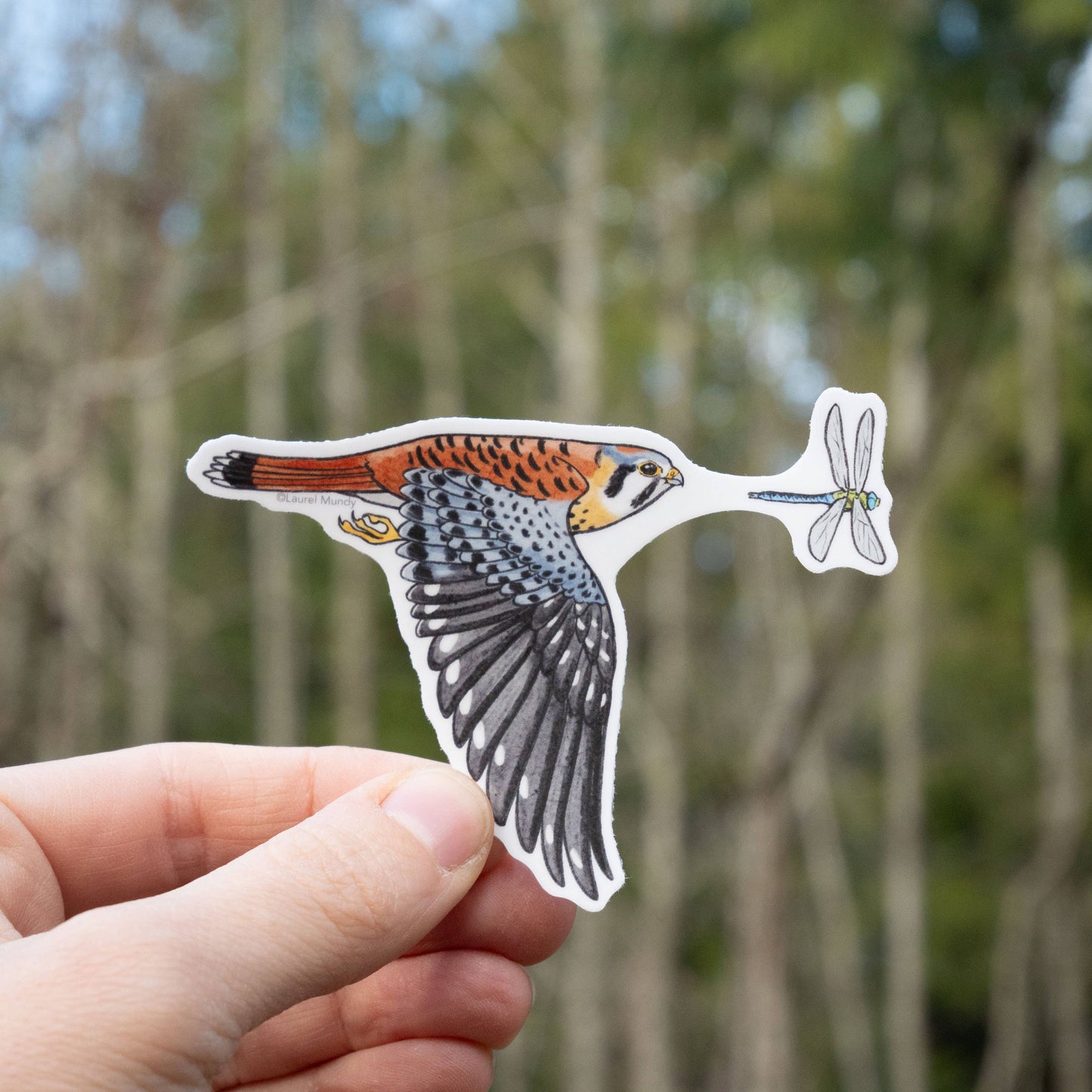 Kestrel Vinyl Sticker