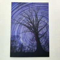 Terrestrial : Celestial - Set of 6 Cards and Envelopes