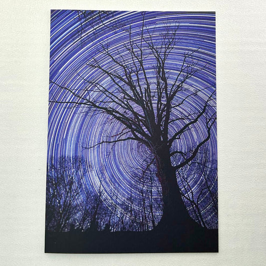 An Evening Beneath The Stars notecard