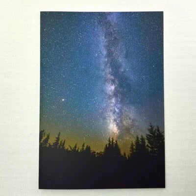 Evergreen Eternal notecard, vertical