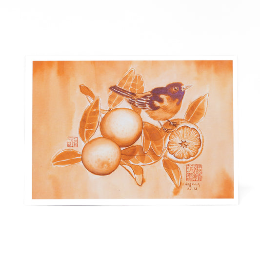 Citrus Song - Oriole with Oranges Notecard