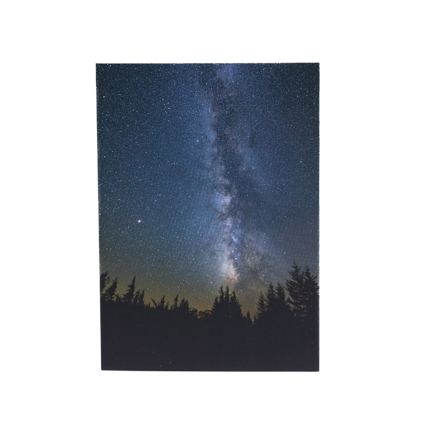 Evergreen Eternal Notecard, vertical