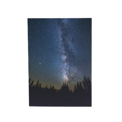 Evergreen Eternal Notecard, vertical