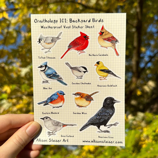 Ornithology 101: Backyard Birds Weatherproof Vinyl Sticker Sheet (A6)
