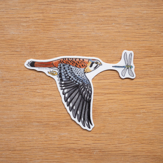Kestrel Vinyl Sticker