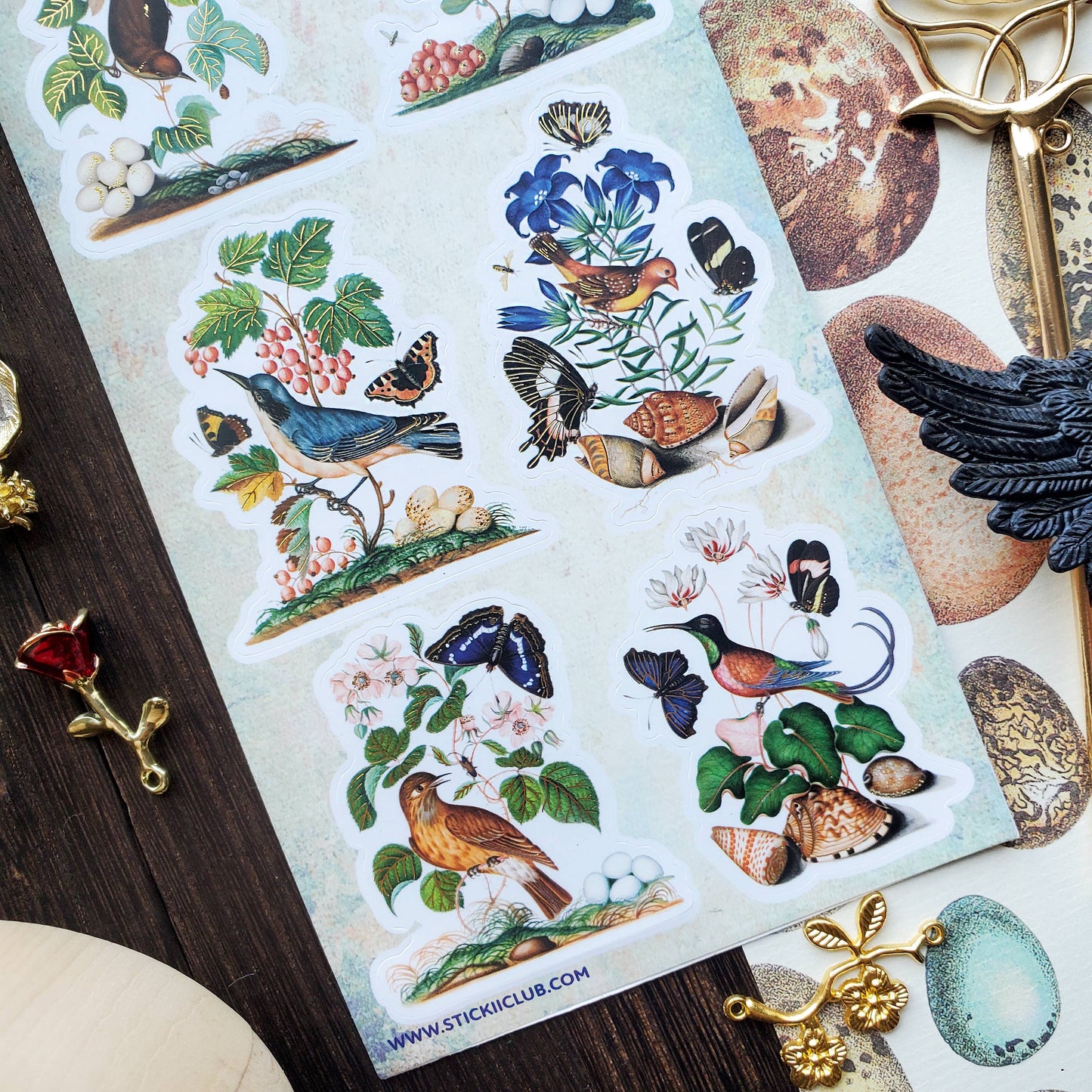Bird & Butterfly Watching Sticker Sheet