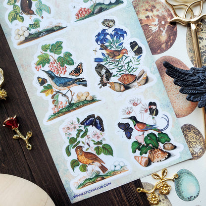 Bird & Butterfly Watching Sticker Sheet