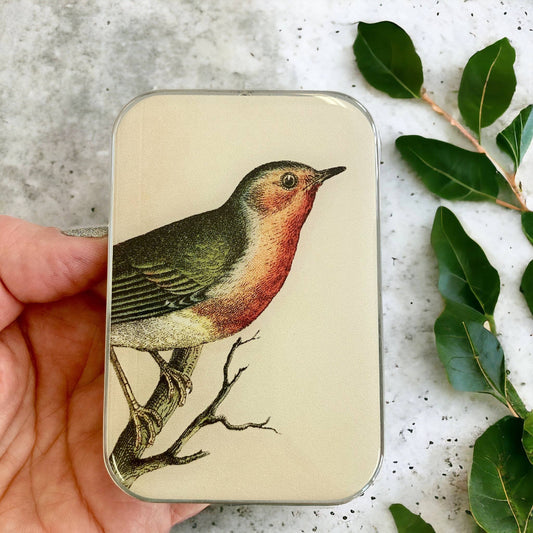 Robin Storage Tin: Large