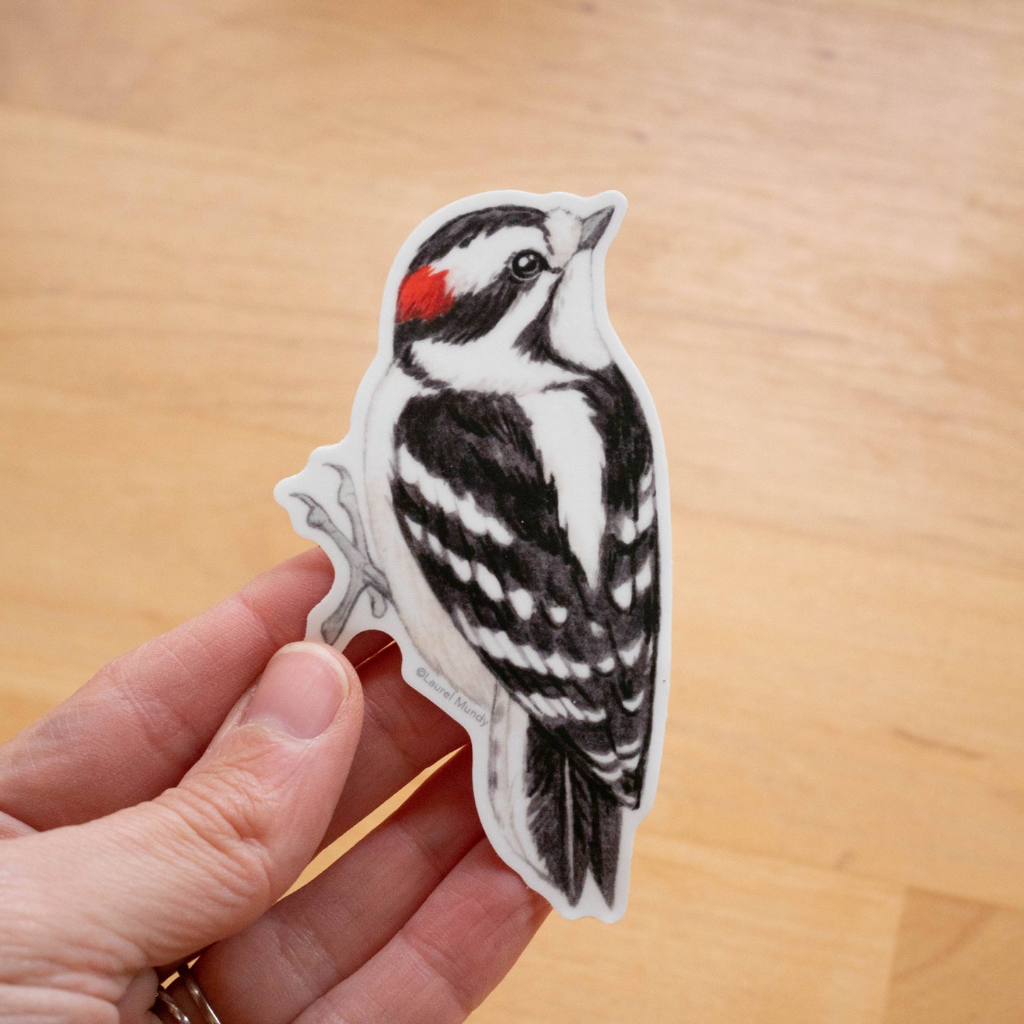 Downy Woodpecker Vinyl Sticker
