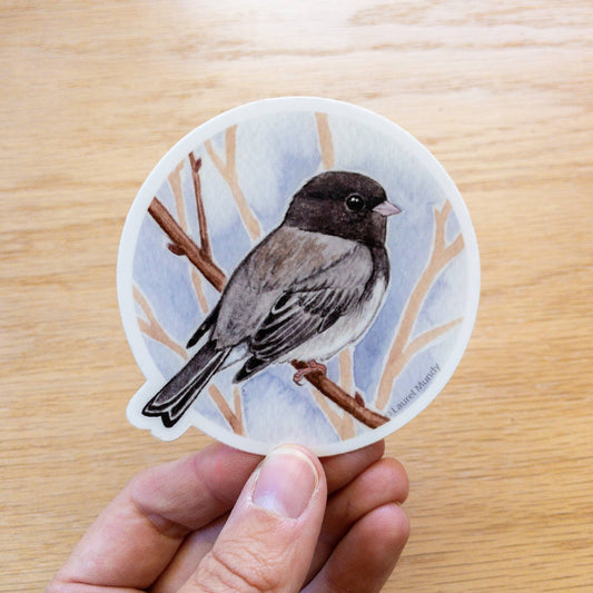 Dark-eyed Junco Vinyl Sticker