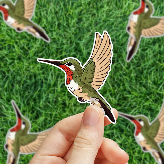 Ruby-Throated Hummingbird Vinyl Decal Sticker
