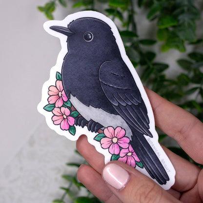 Black Phoebe Vinyl Sticker Decal