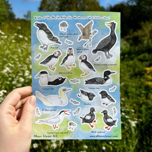 Birds of the North Atlantic Large Weatherproof Vinyl Sticker Sheet (A5)