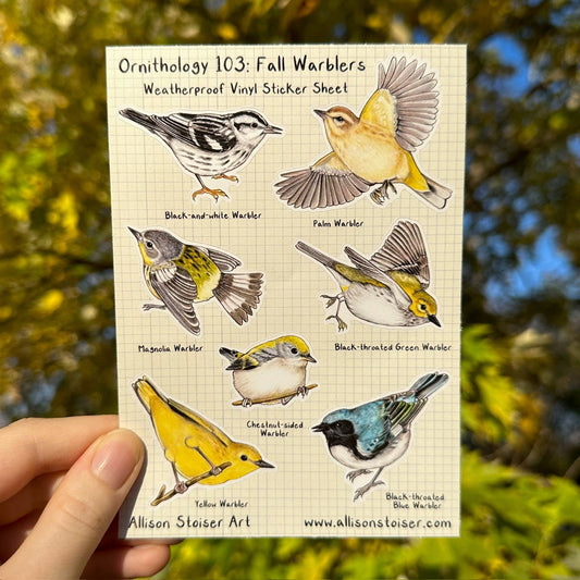 Ornithology 103: Fall Warblers Weatherproof Vinyl Sticker Sheet (A6)