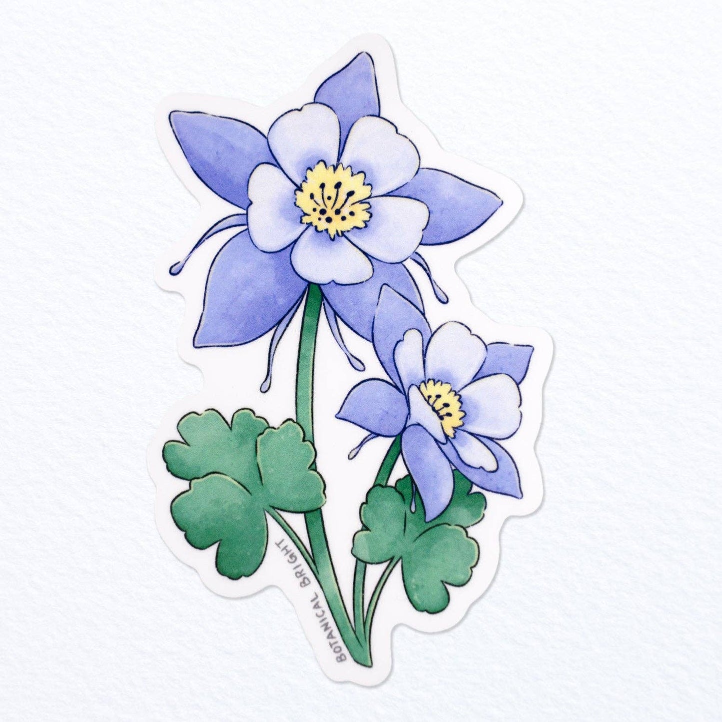 Colorado Blue Columbine Vinyl Sticker Decal