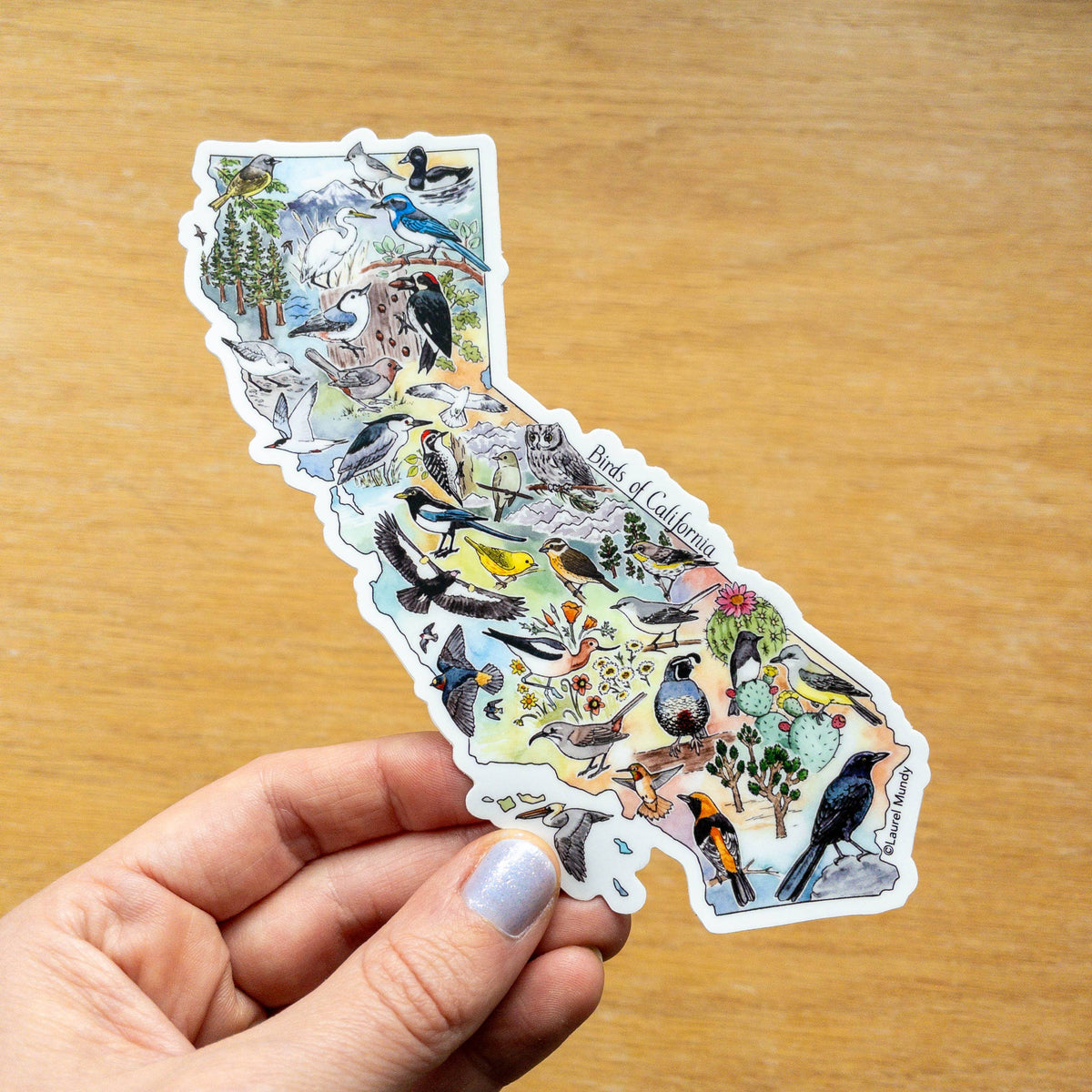 Birds of California Large Vinyl Sticker Decal