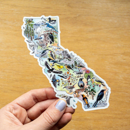 Birds of California Large Vinyl Sticker Decal