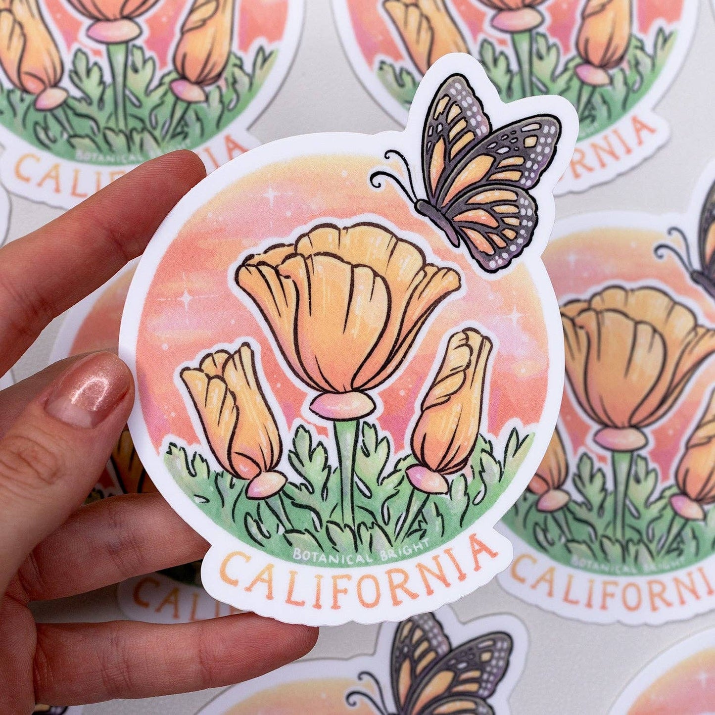 California Poppy and Monarch Vinyl Sticker Deal