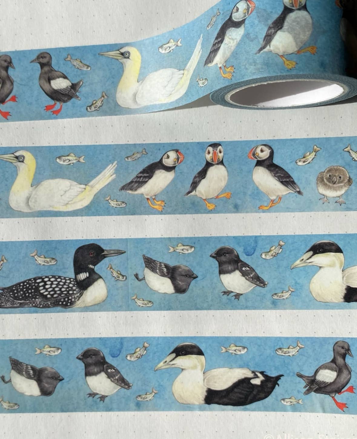North Atlantic Sea Birds Washi Tape