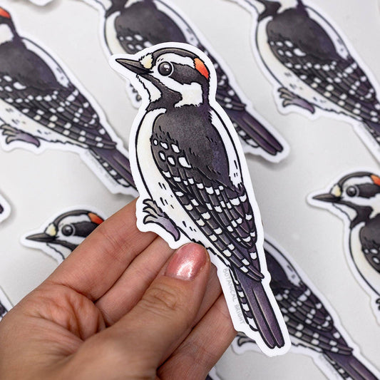 Woodpecker Vinyl Sticker Decal