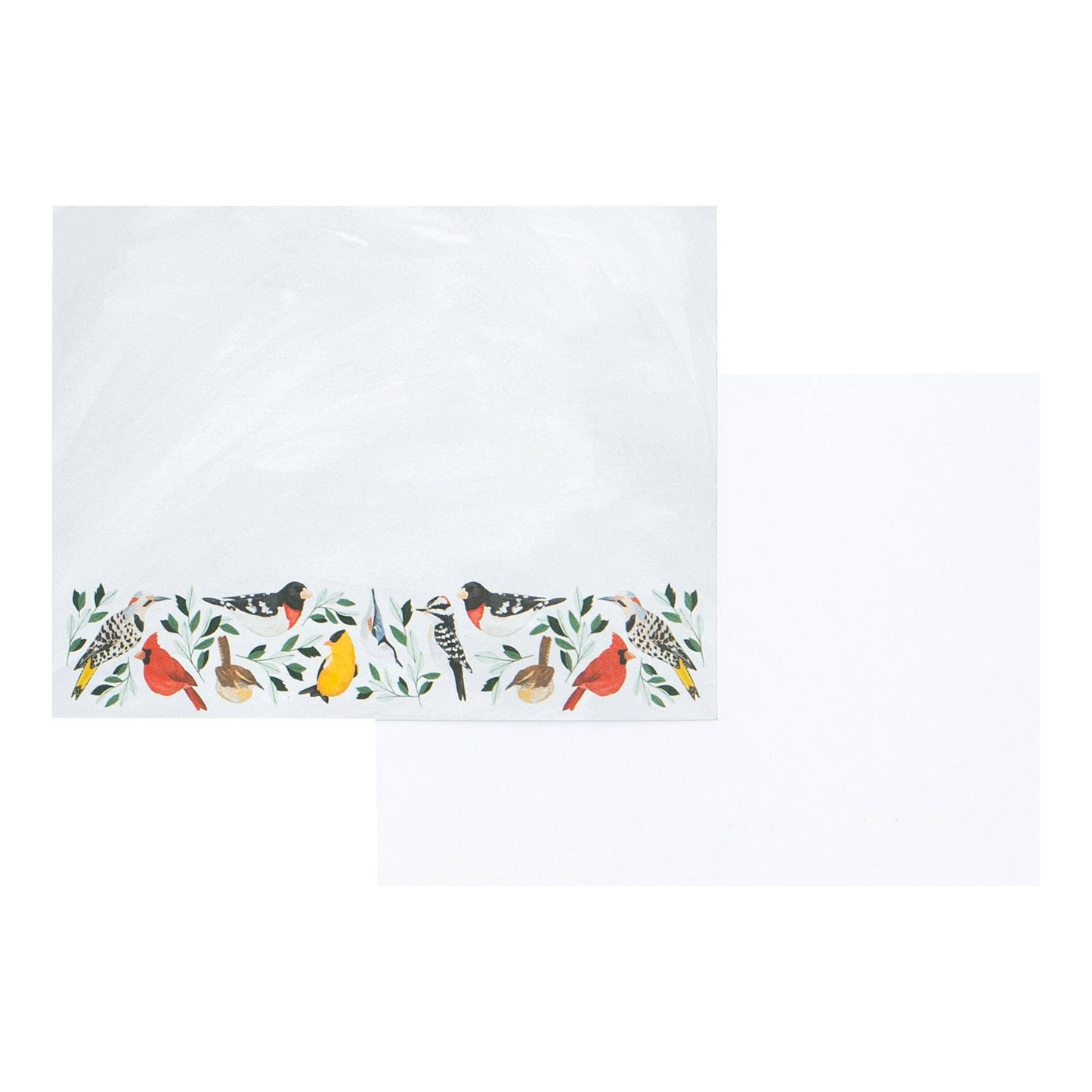 Feathered Friends - Birds Desk Jotter Note Set