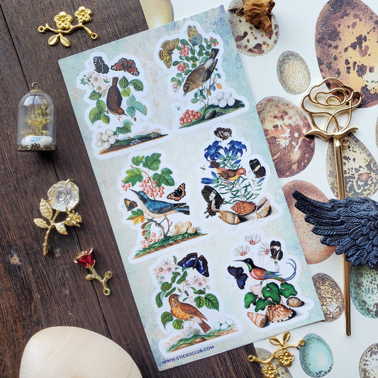 Bird & Butterfly Watching Sticker Sheet