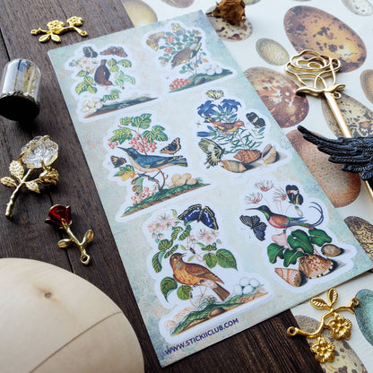 Bird & Butterfly Watching Sticker Sheet