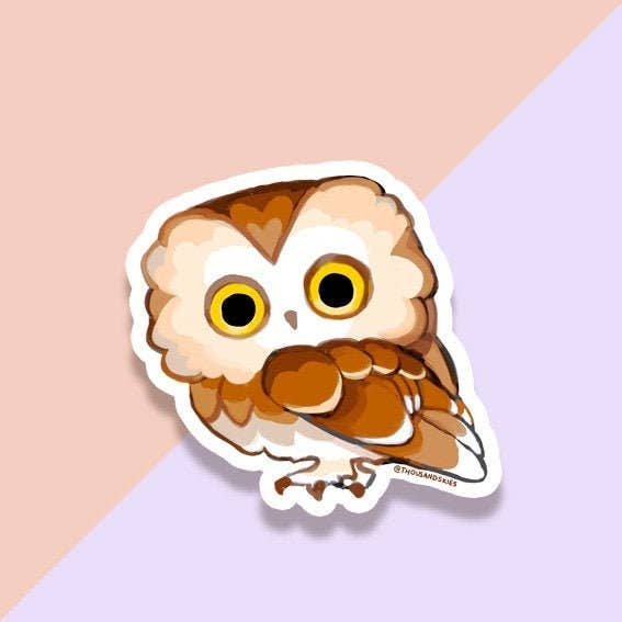 Northern Saw Whet Owl Vinyl Sticker Decal