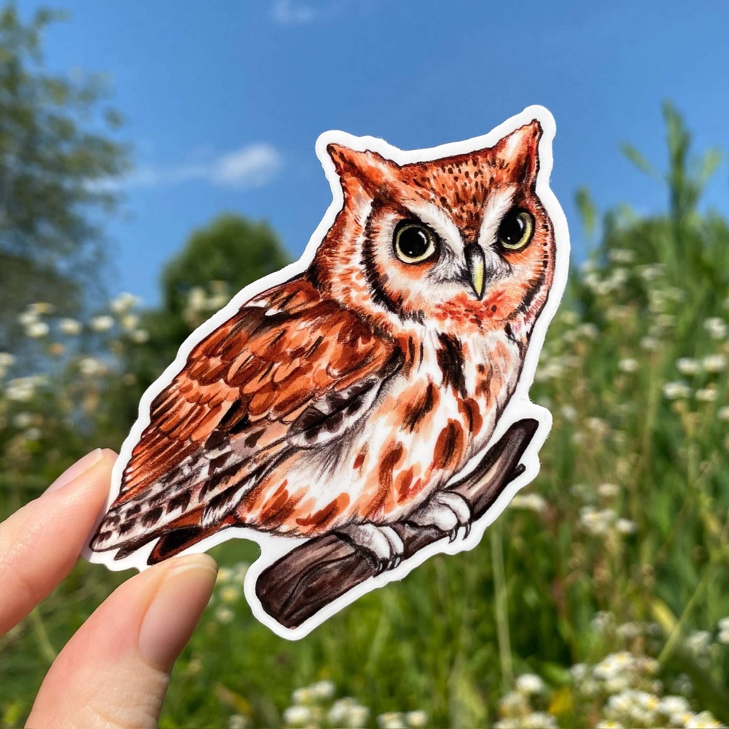 Eastern Screech Owl Weatherproof Vinyl Sticker