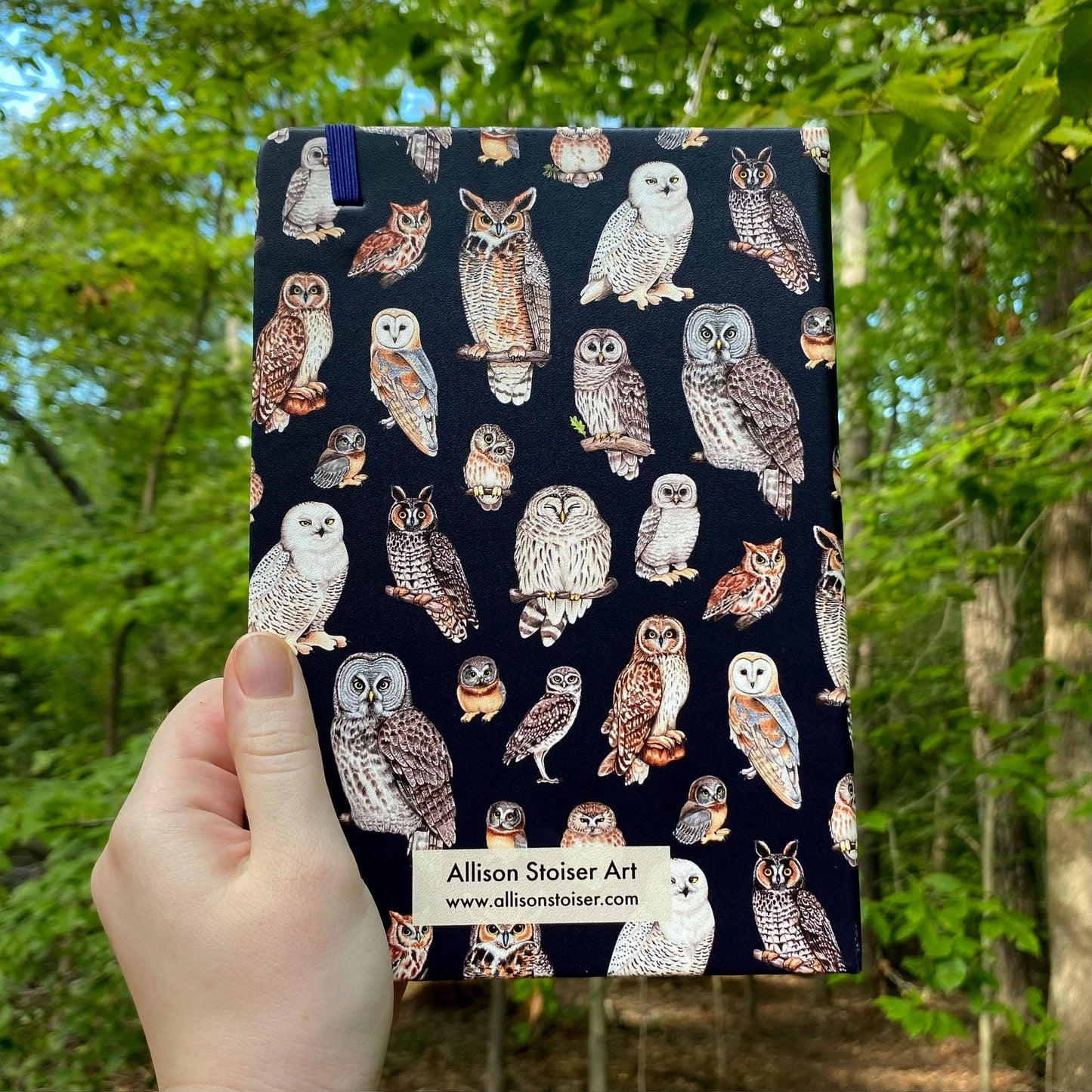 North American Owls A5 Hardcover Journal