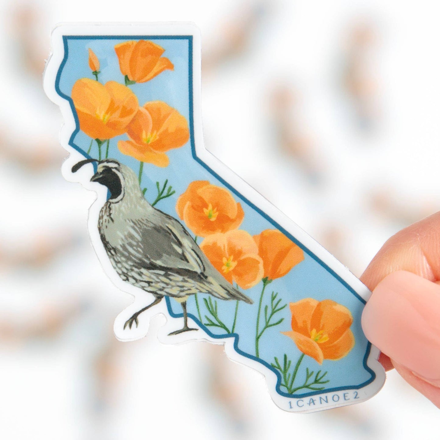 Birds & Blooms California Decal Sticker