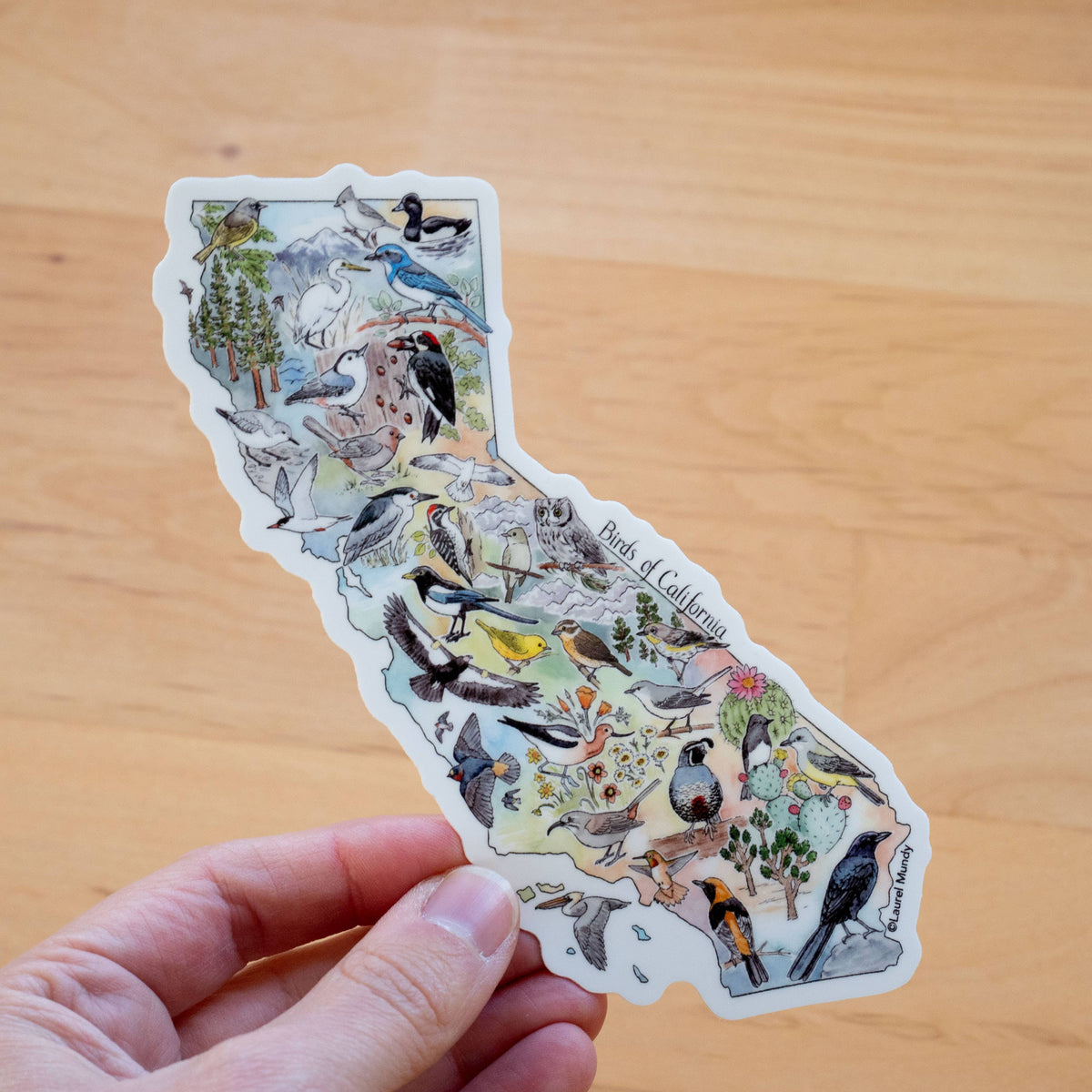 Birds of California Large Vinyl Sticker Decal