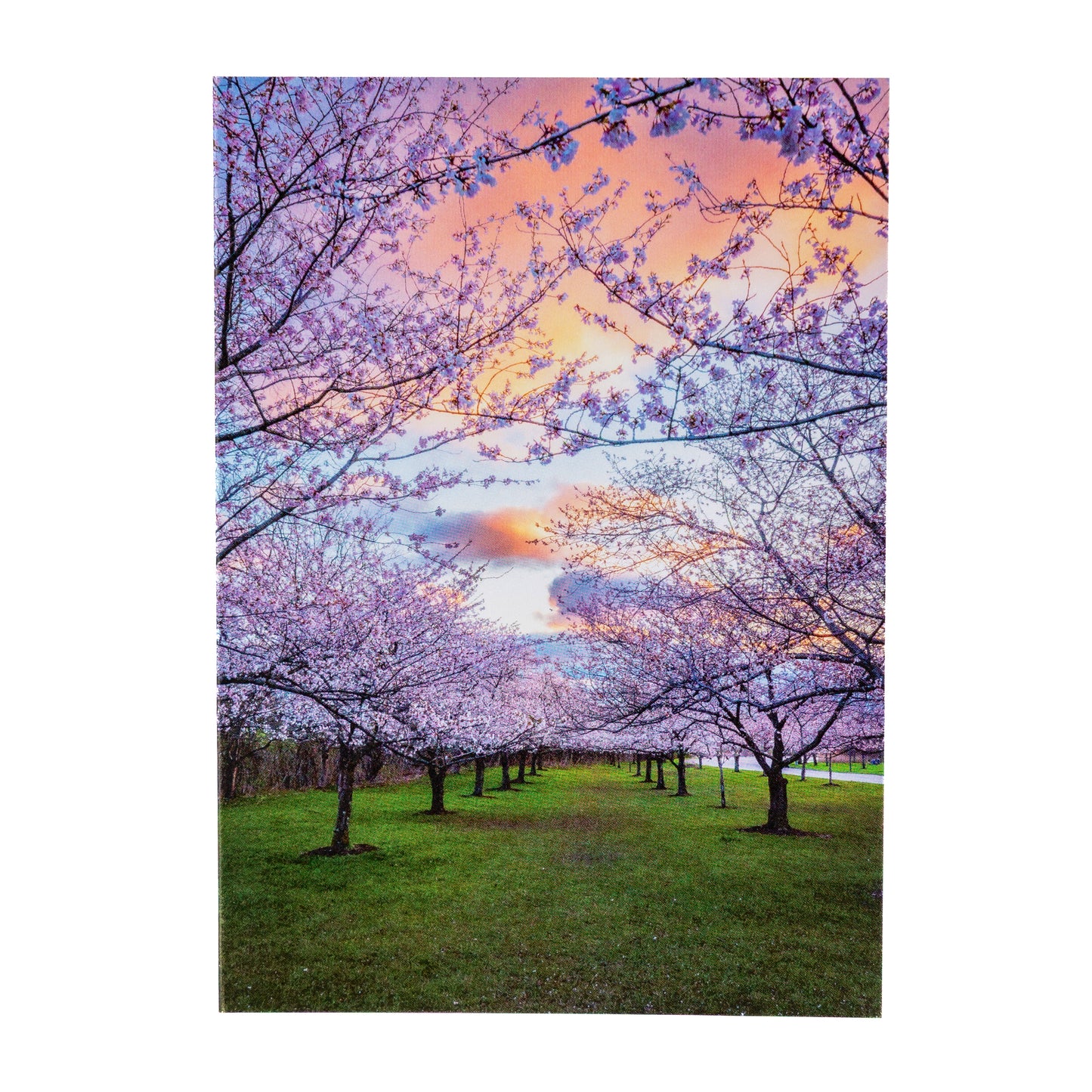 Brookside Blossoms Notecard