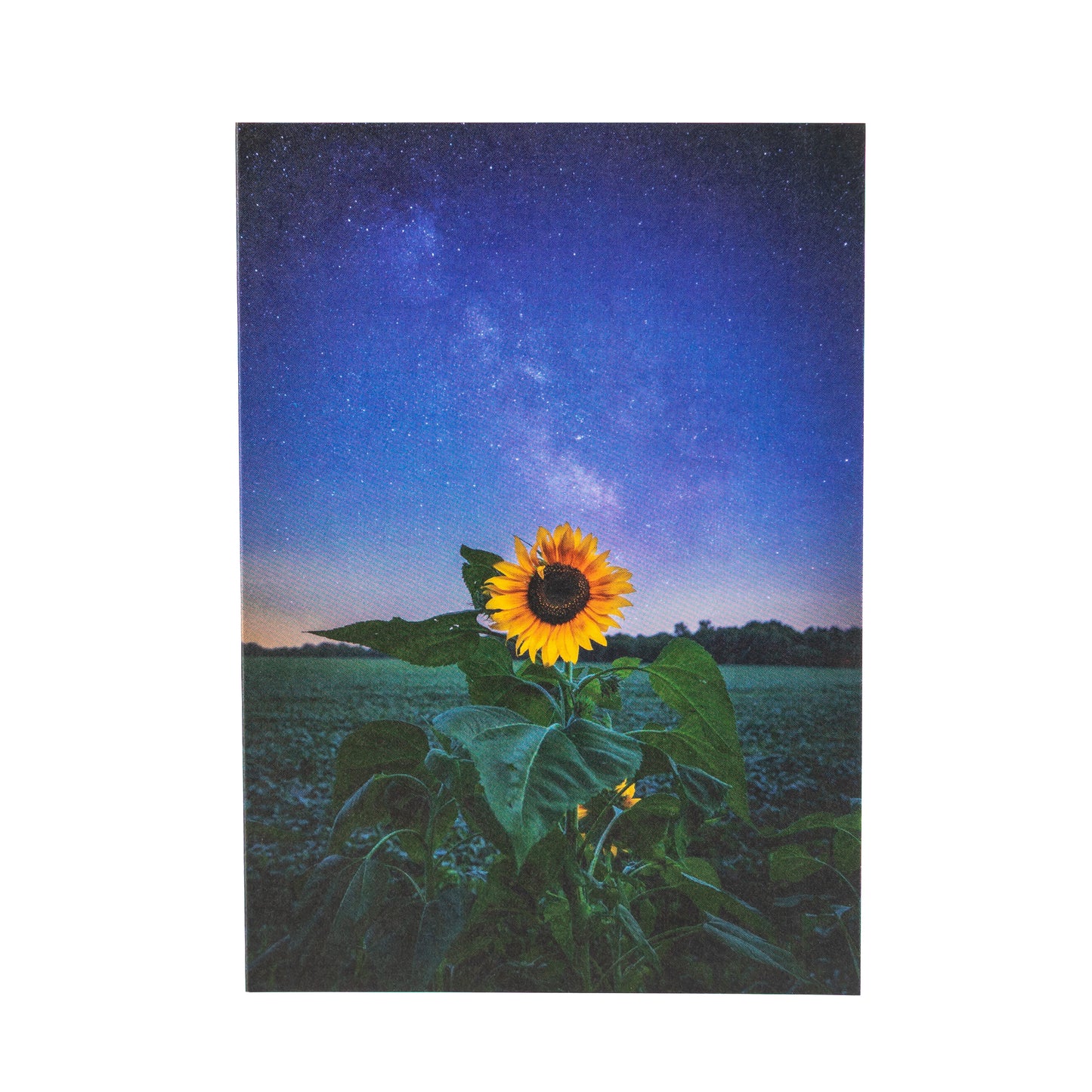 Stardust And Sunflower notecard