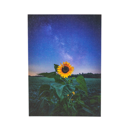 Stardust And Sunflower notecard
