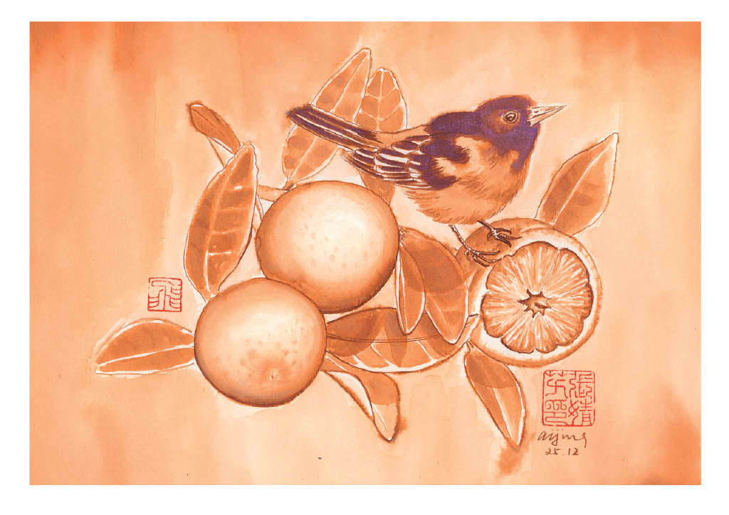Citrus Song - Oriole with Oranges Notecard