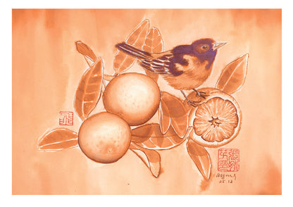 Citrus Song - Oriole with Oranges Notecard