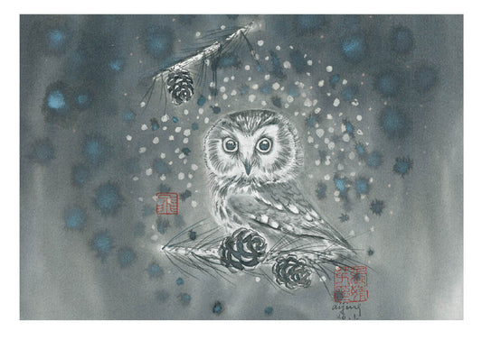 Nightwatch Song - Saw-Whet Owl in the Stars Notecard